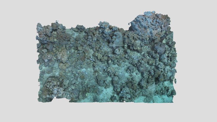 Masig_FR2S_P4_202302 3D Model