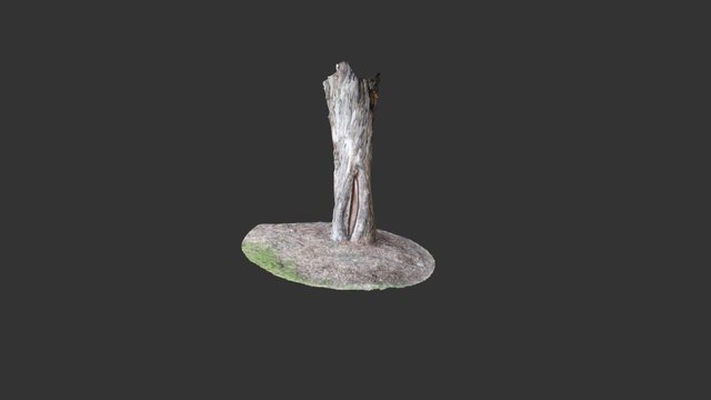 Potential Aboriginal Scar Tree 3D Model