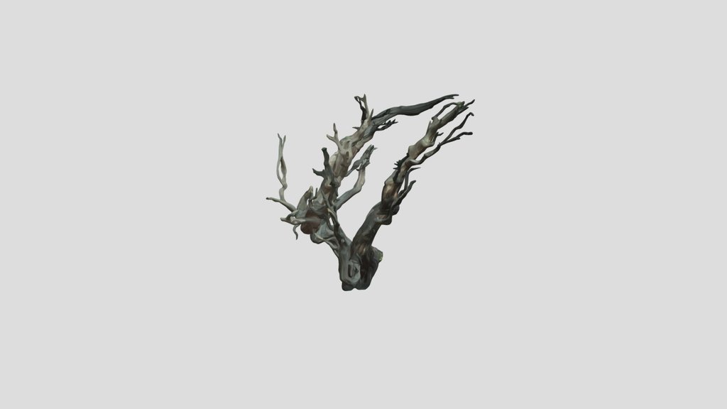 Twisted Tree