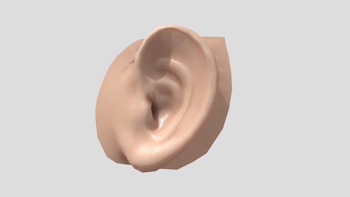 Ear 3D Model