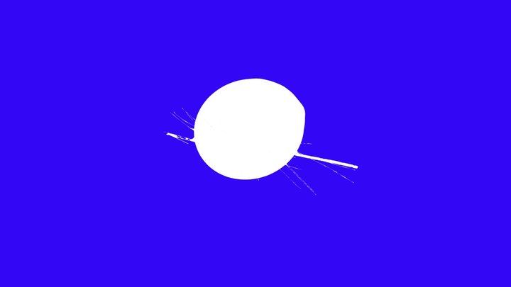 Extract3 Fimbrias 3D Model