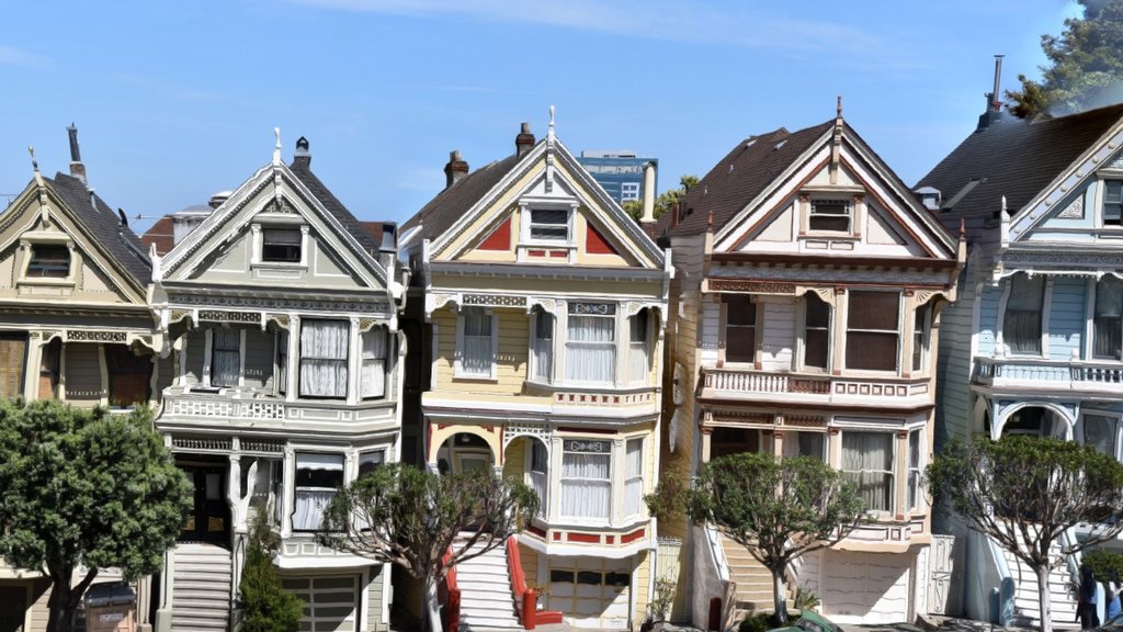 San Francisco Painted Ladies