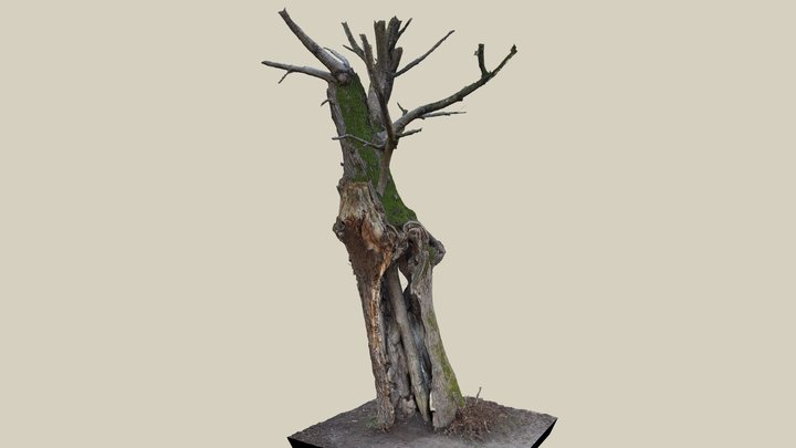 Baum der Harmonie 3D Model
