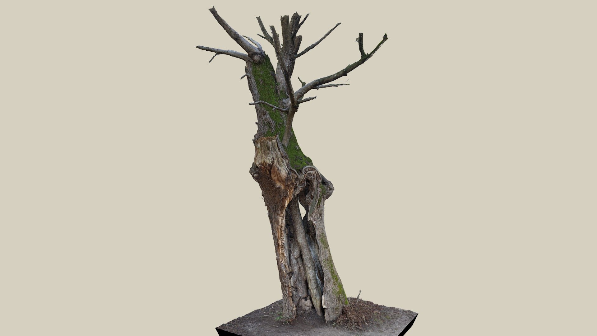 Baum der Harmonie — Sketchfab embed 3D viewer