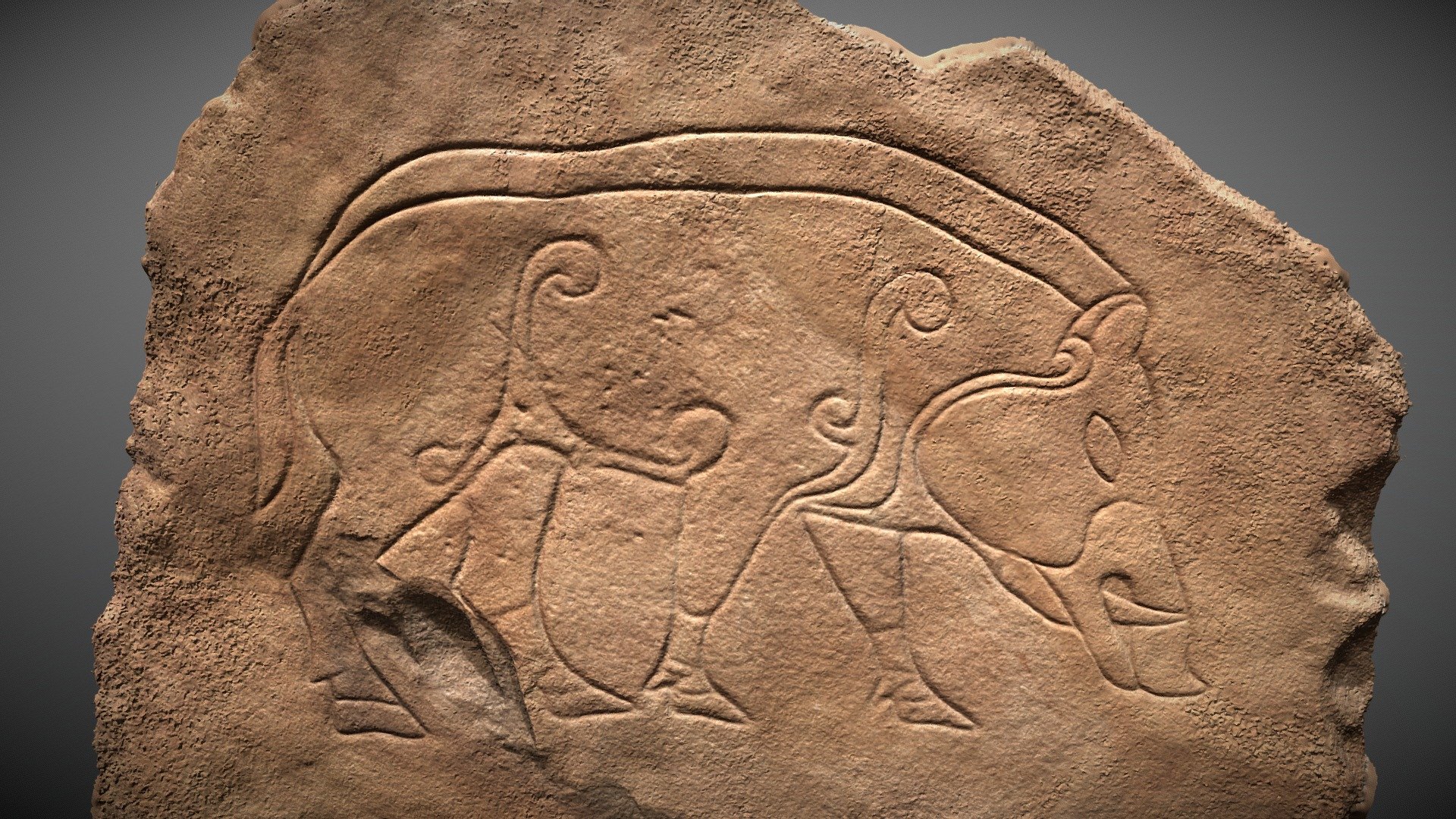 Dores Boar (National Museum of Scotland)