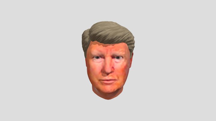 Donald Trump Avatar Head 3D Model