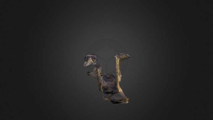 Salta 3D Model