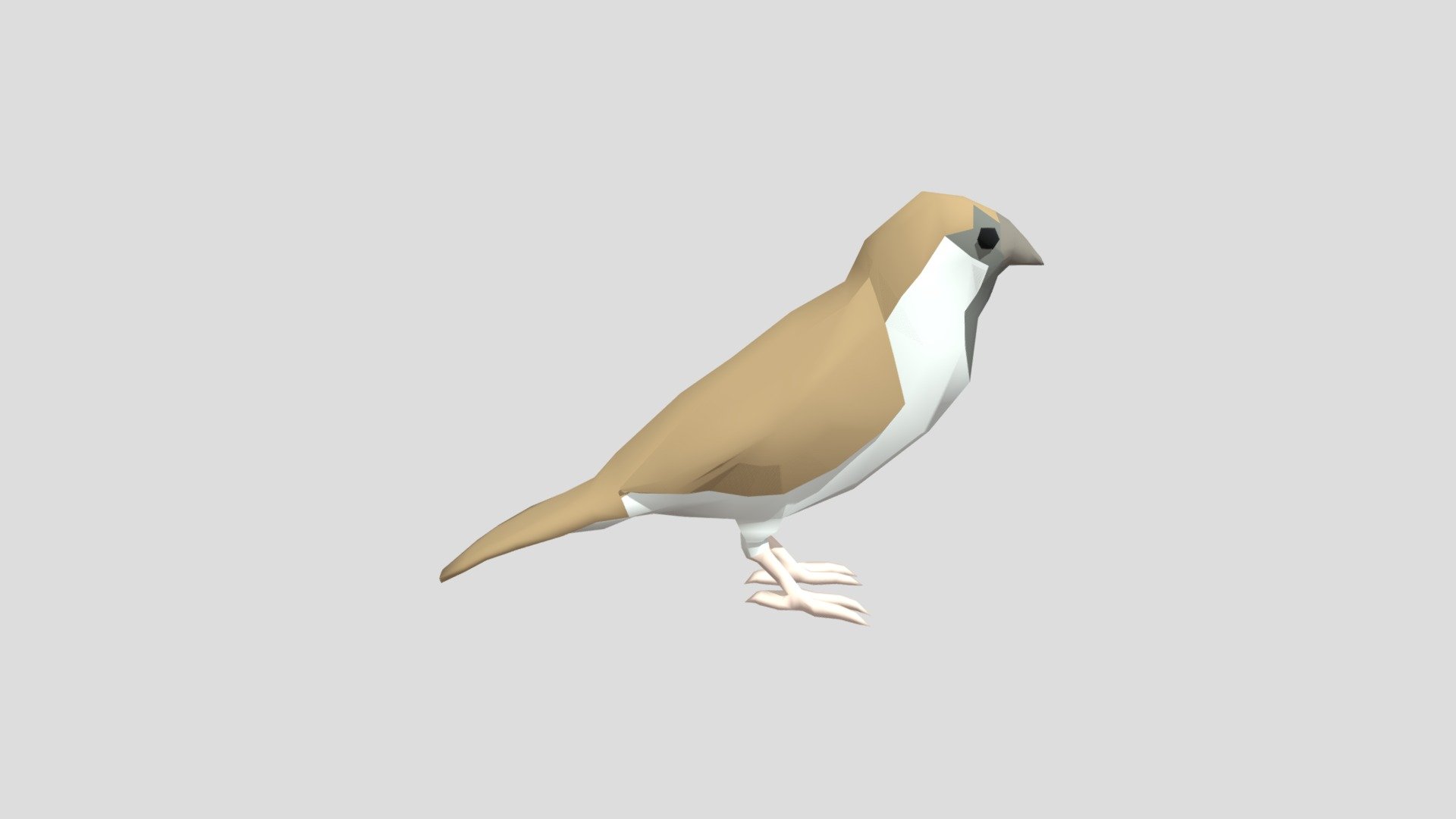 Sparrow from Poly by Google