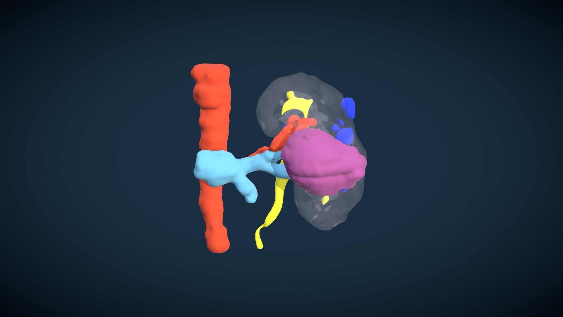 Left Renal Cysts (B3) (T.P.P.)