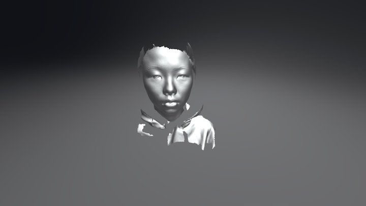ANOTHER FACE 3D Model