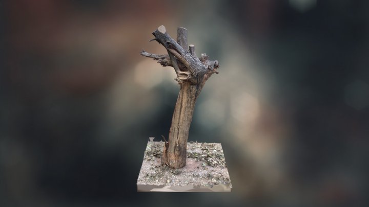 Dead Tree v01 3D Model