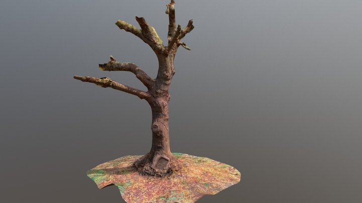 Tree2 3D Model
