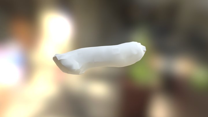 Bone Export 3D Model