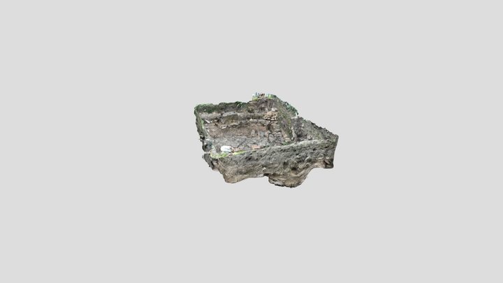 Untitled Scan 3D Model