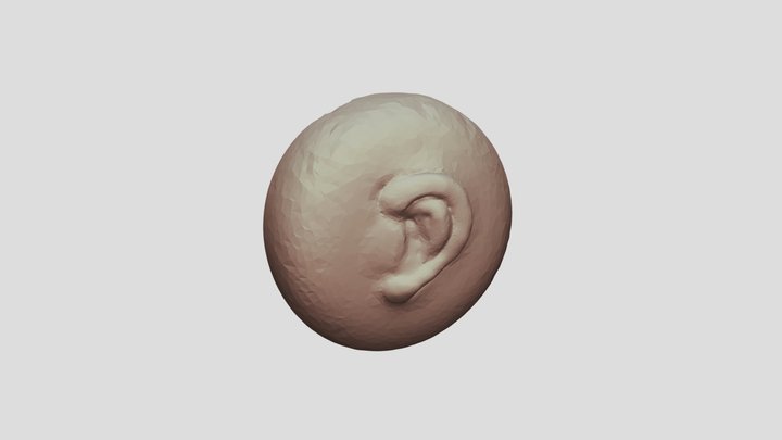 Ear Sculpt 3D Model