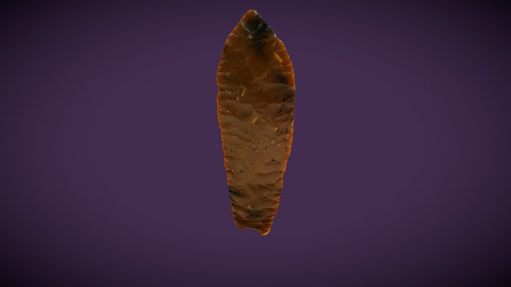 Hell Gap Projectile Point 3D Model