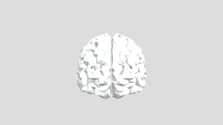 Frontal-lobe 3D models - Sketchfab