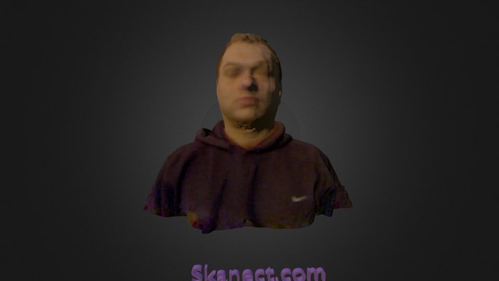 New Skanect Model 3D Model