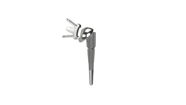 Smr Anatomic EU 3D Model