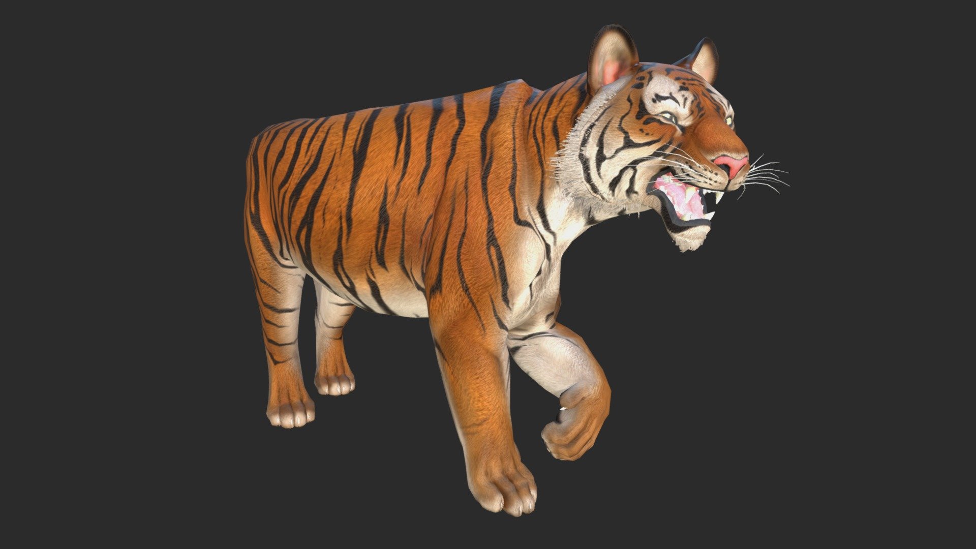 Bengal Tiger - 3D model by woo.art.77 (@woo.art.77) [cf88c38]