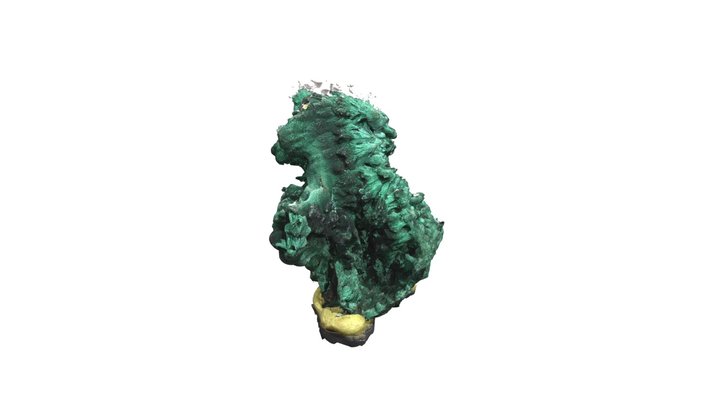 1 3D Model