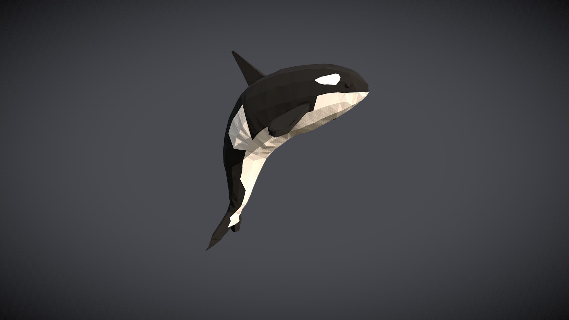 3D model Low-Poly Orka - This is a 3D model of the Low-Poly Orka. The 3D model is about a shark in the water.