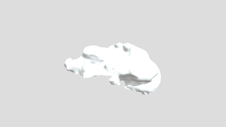 Tylosaurus proriger (Tylosaurus Tex) vert block 3D Model