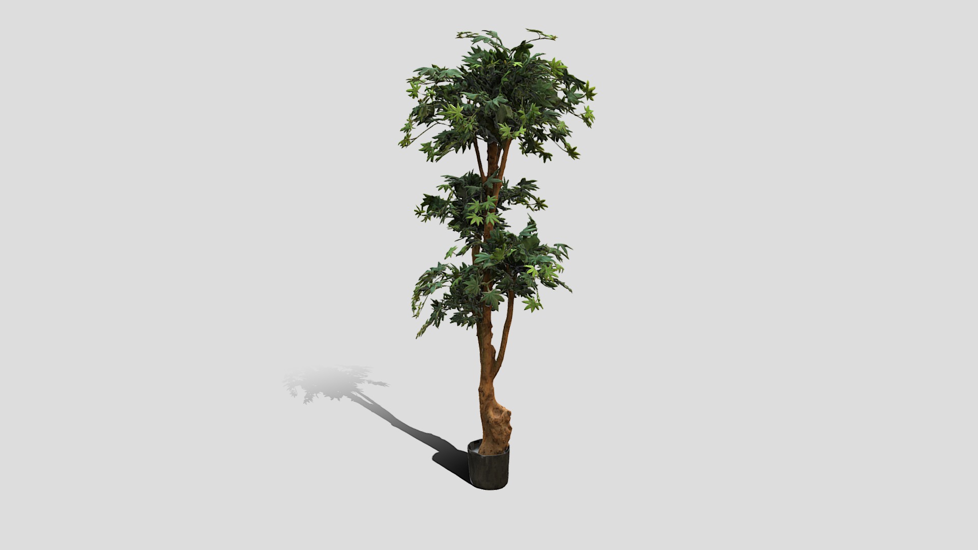 3D model 000003_153218 - This is a 3D model of the 000003_153218. The 3D model is about a tree with a stick.