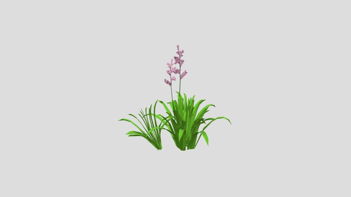 Grass