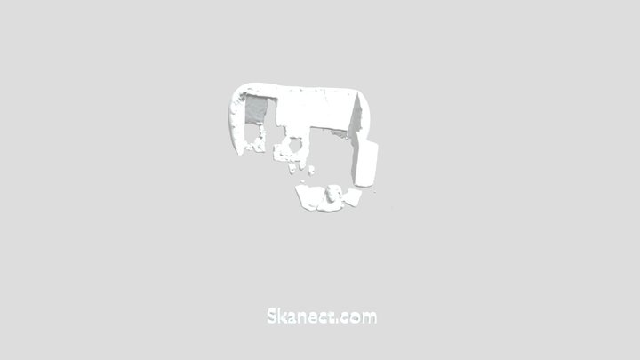 New Skanect Model 3D Model