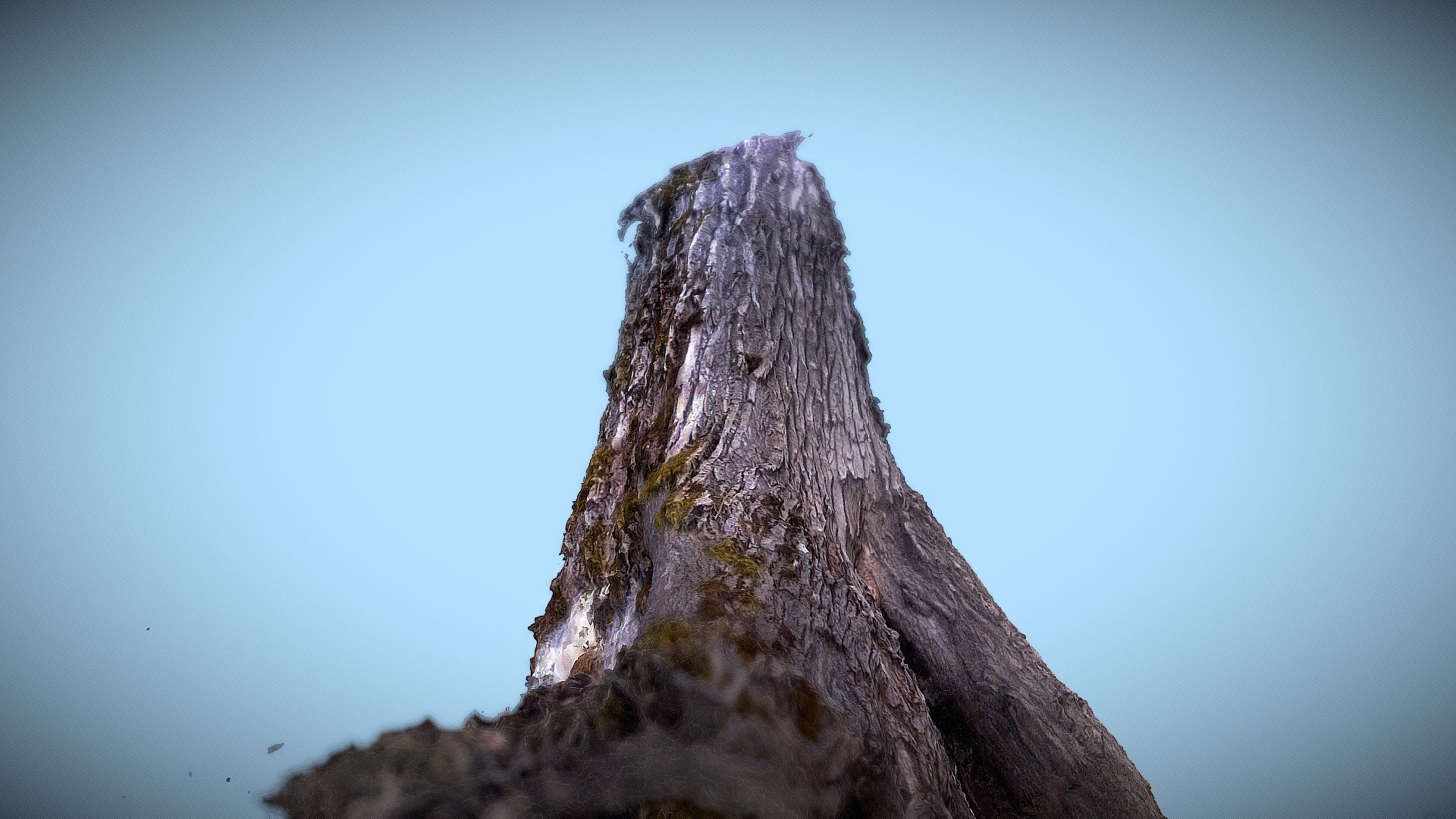 FOREST 1