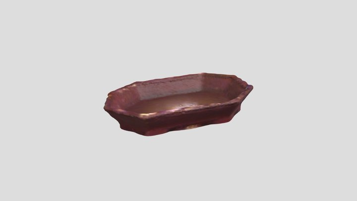 New Skanect Model 3D Model