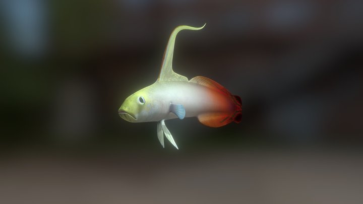 Red Fire Goby 3D Model