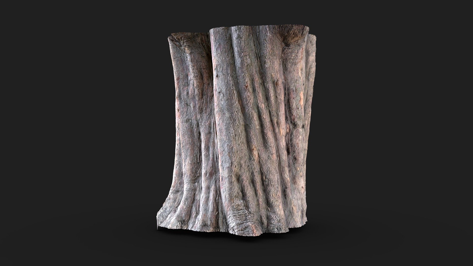 Videogrammetry - trunk section
