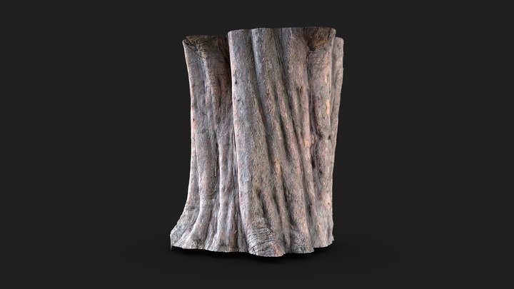 Videogrammetry - trunk section – Modelo 3D gratuito STL
