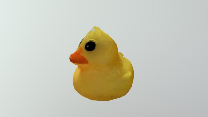 Duck test 3D Model