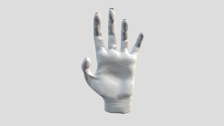 Hand sculpt 3D Model