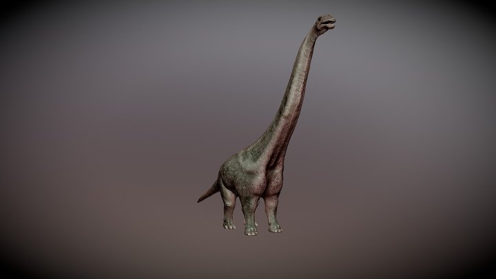 Futalognkosaurus 3D Model