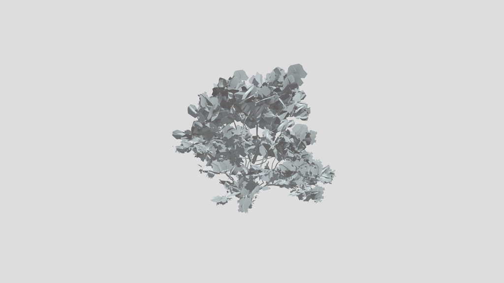 Hornbeam Large