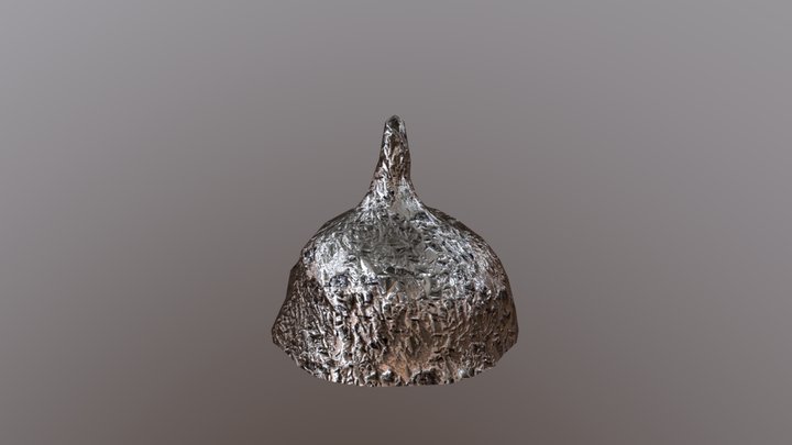 Tin Foil Hat 3D Model