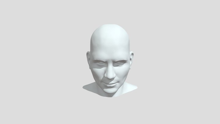 Male Standard Head 3D Model
