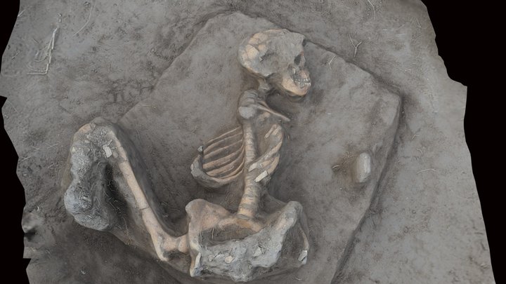 Bone remains// Skeleton 1760 ± 80 años AP 3D Model