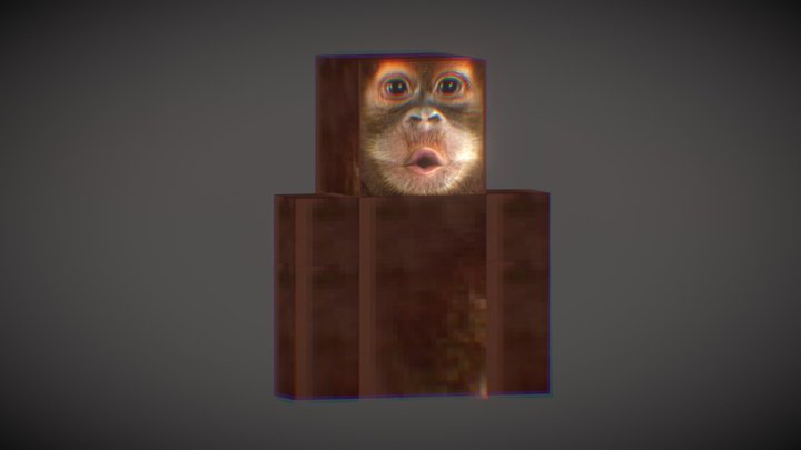 Monkey No Legs 3D Model