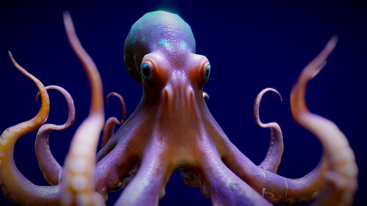 Octopurs 3D Model