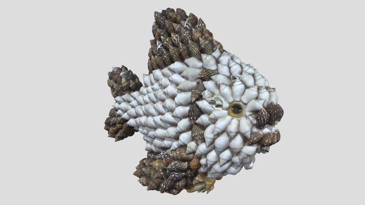 Shell Fish Ornament 3D Model