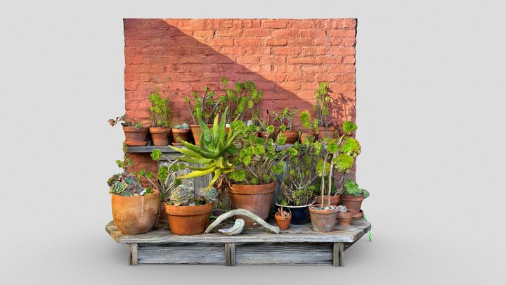Day 333: Cactaceae plants (Point Reyes) – Free 3D Model STL