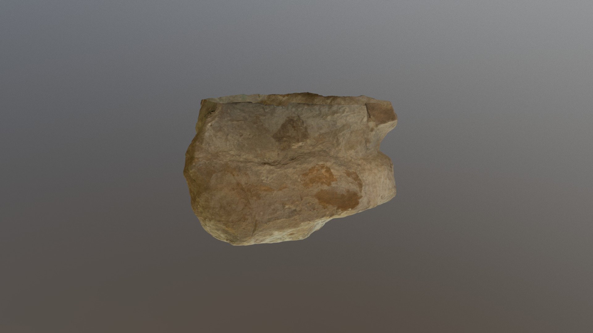 GIANT SAUROPOD TRACK