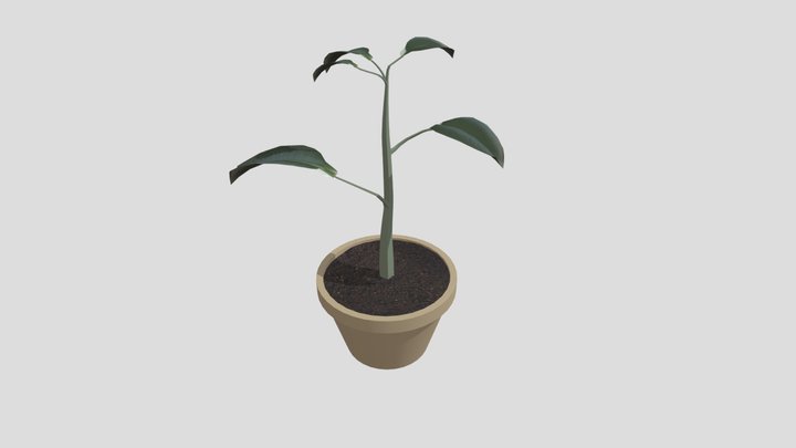 Potted Plant 3D Model