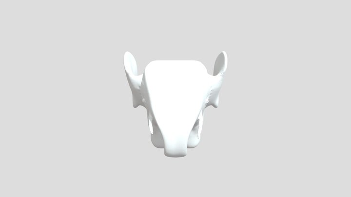 Morgan0308 Elephant02 3D Model