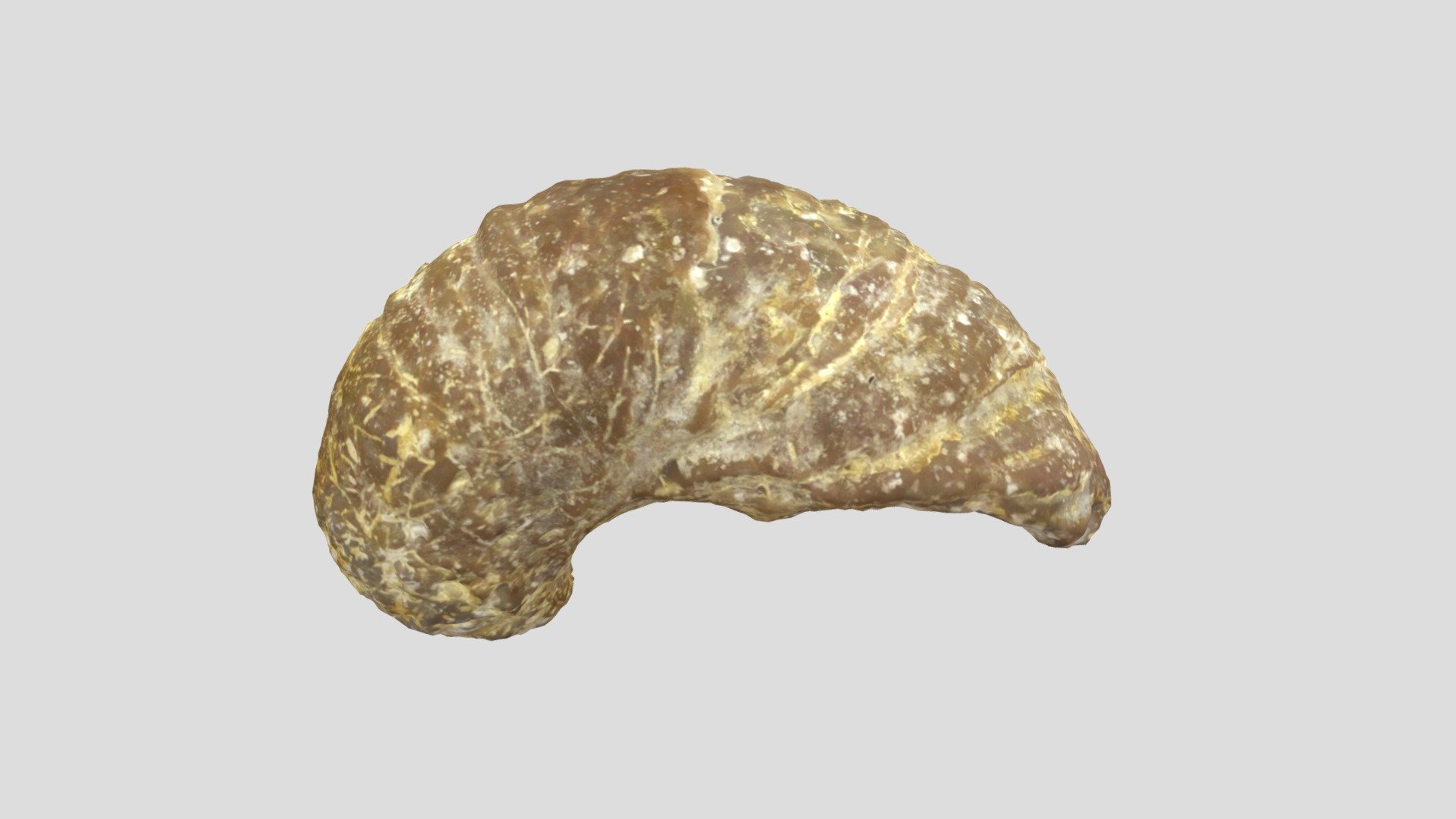 Fossil scanned in one go with OpenScanCloud *